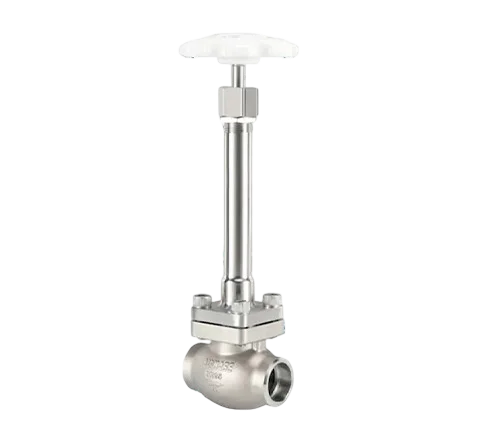 Cryo genic Globe Valve