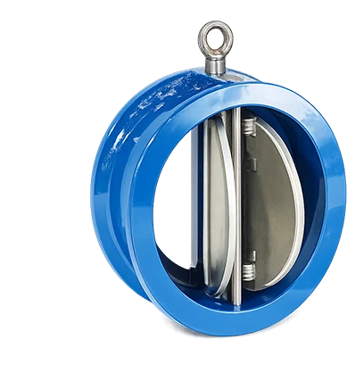 Dual Plate Check Valve