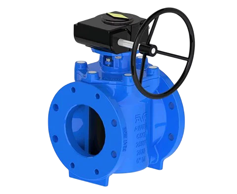 Eccentric Plug Valve