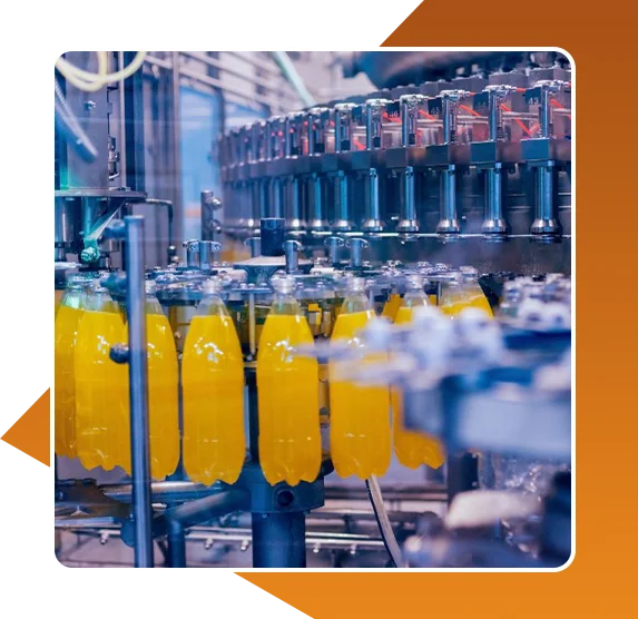 Food & Beverage Processing Solutions
