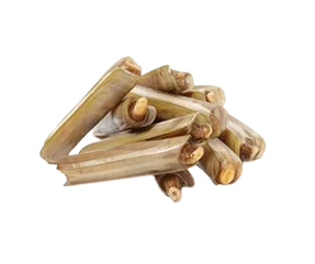 Frozen Razor Clam