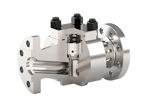 Piston Check Valve