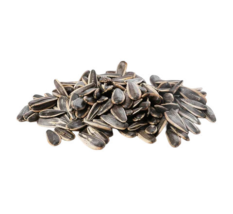 Sunflower Seed